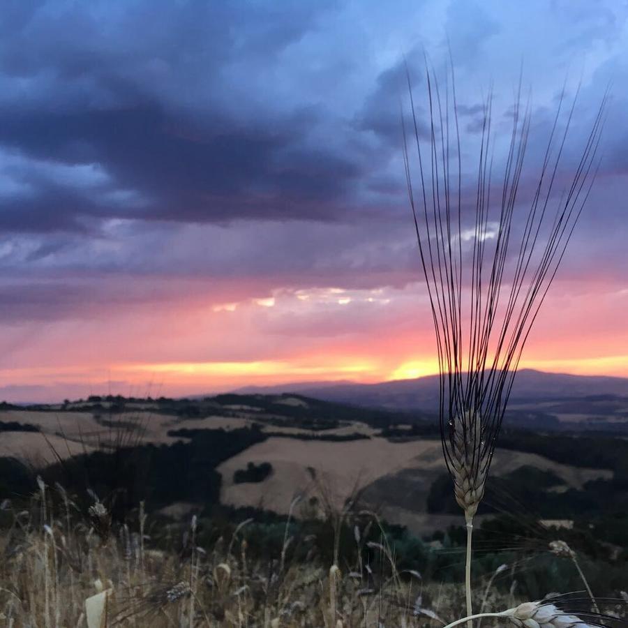 فيلا بومارانسيفي Agriturismo Incanto Del Fiume المظهر الخارجي الصورة